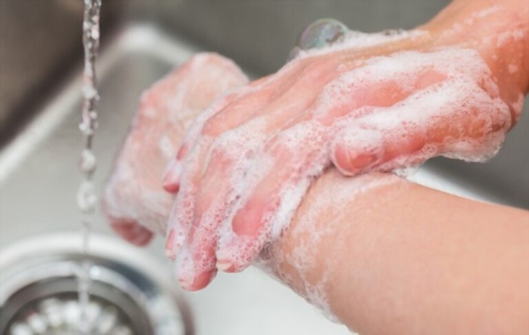 Kitchen Safety: Preventing Food Poisoning in Your Home Kitchen Safety: Preventing Food Poisoning in Your Home