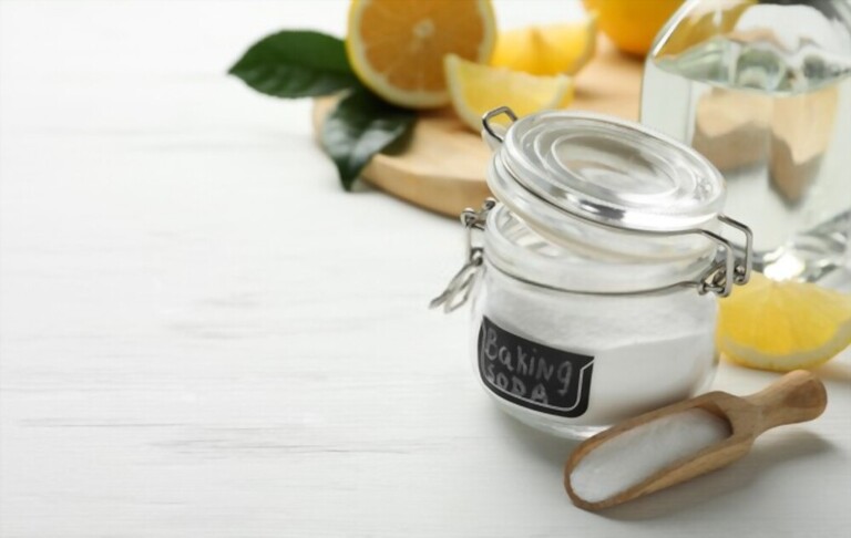 Kitchen Safety: Preventing Food Poisoning in Your Home Kitchen Safety: Preventing Food Poisoning in Your Home