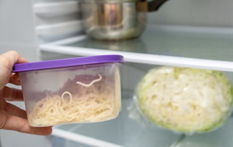 Kitchen Safety: Preventing Food Poisoning in Your Home Kitchen Safety: Preventing Food Poisoning in Your Home