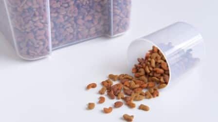 7 Best Airtight Dog Food Containers of 2026 7 Best Airtight Dog Food Containers of 2026